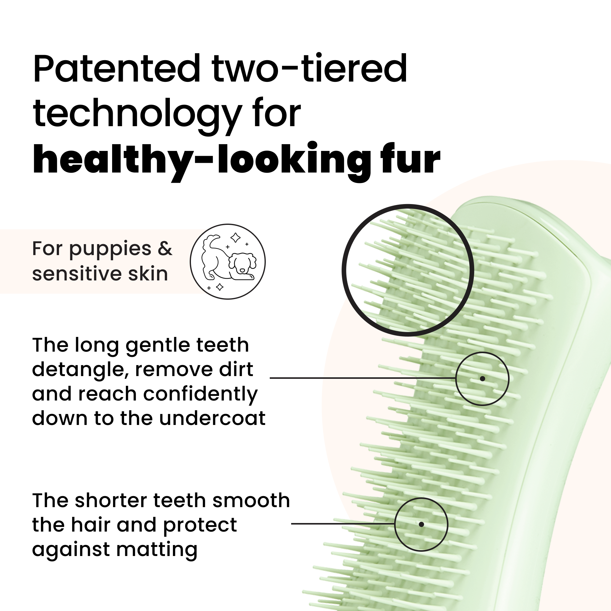 Puppy Brush
